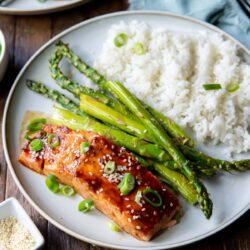 Asian salmon served with rice.