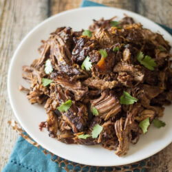 Shredded Barbacoa Beef on a white plate.