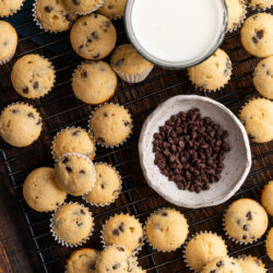 These Mini Chocolate Chip Muffins are light, fluffy, packed with chocolate chips, and so easy to pop in your mouth for a bite of deliciousness!